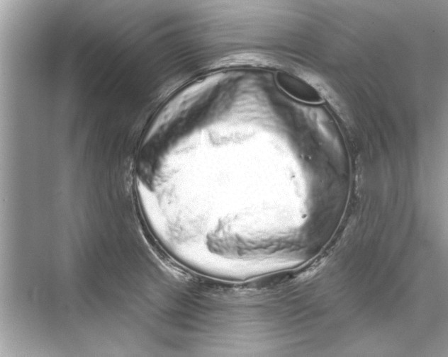 X0000072541233200608111804