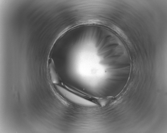 X0000072541234200608111804