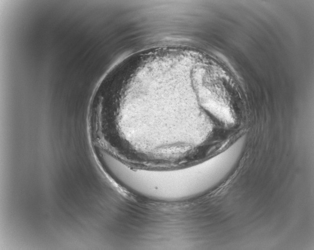 X0000072541235200608111804