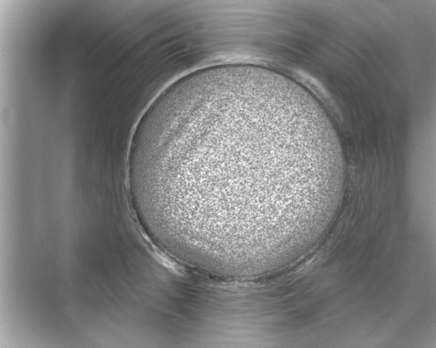 X0000072541236200608111804