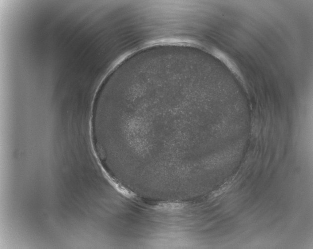 X0000072541237200608111804