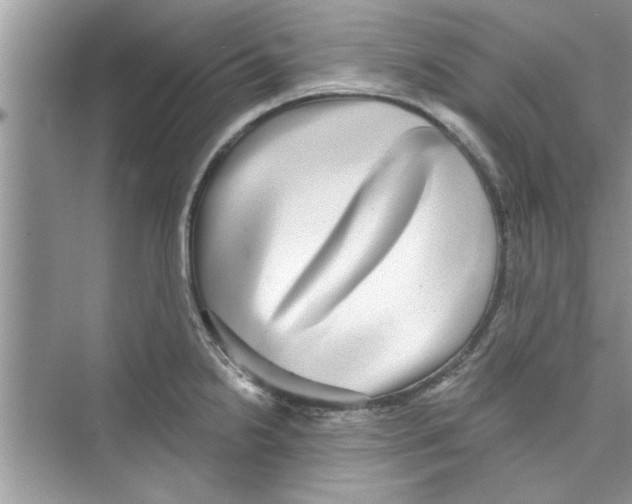 X0000072541238200608111804