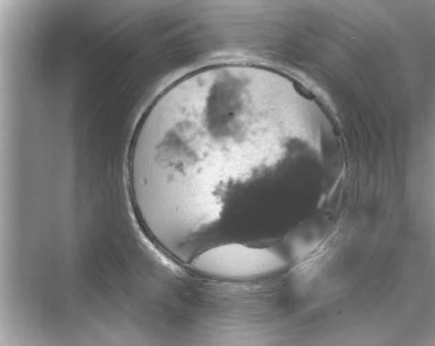 X0000072541239200608111804