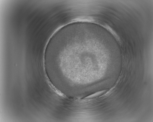 X0000072541240200608111804