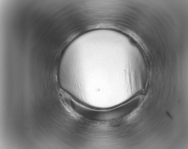 X0000072541241200608111804