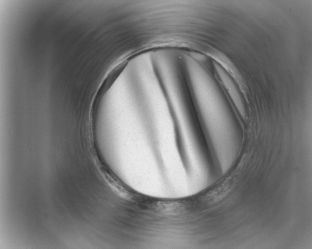 X0000072541242200608111804