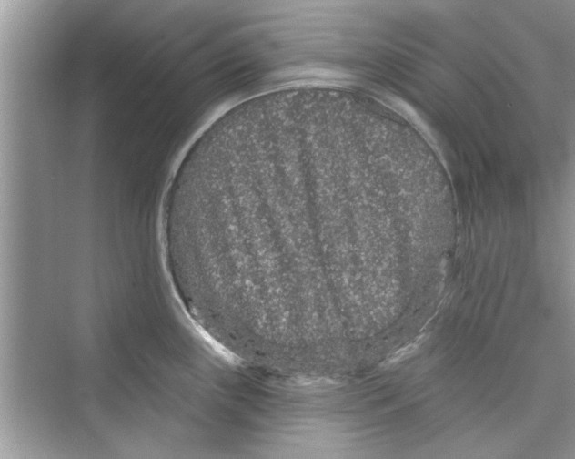 X0000072541243200608111804