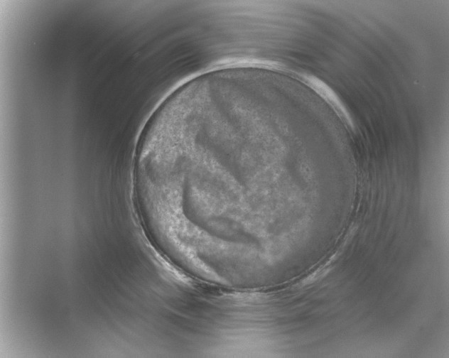 X0000072541244200608111804