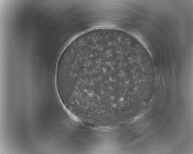 X0000072541245200608111804