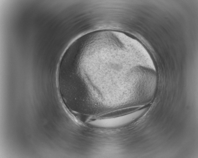 X0000072541246200608111804