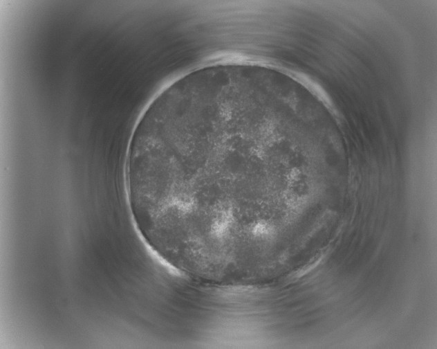 X0000072541247200608111804