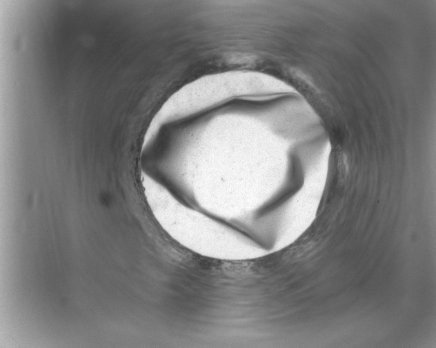 X0000072541249200608111804