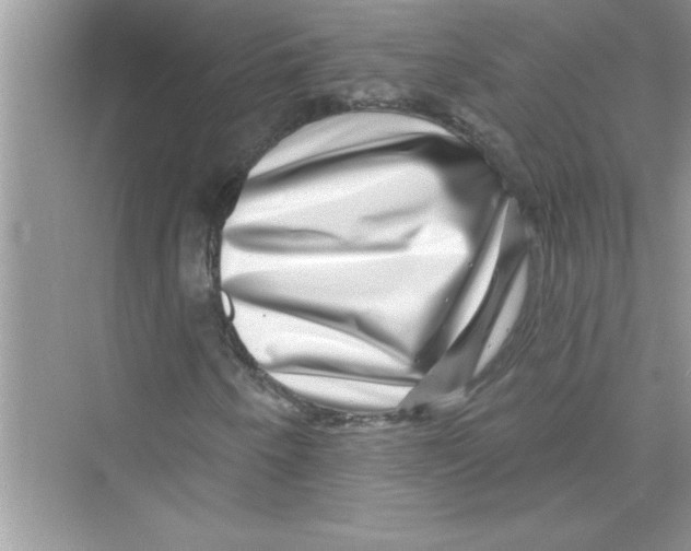 X0000072541250200608111804