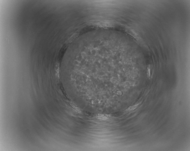 X0000072541251200608111804