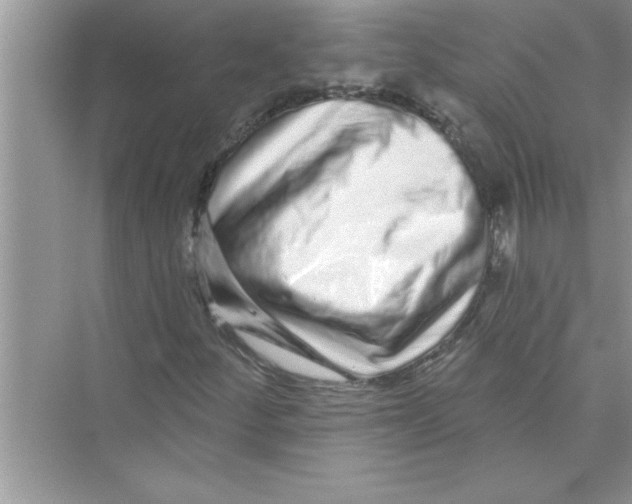 X0000072541252200608111804