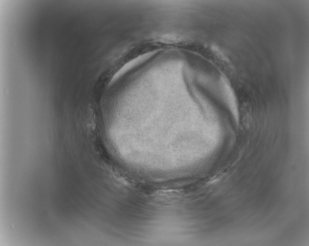 X0000072541253200608111804