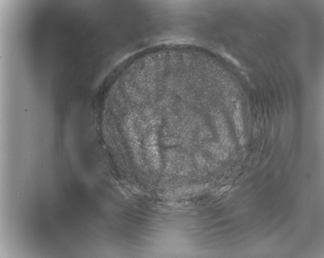 X0000072541255200608111804