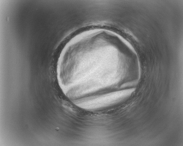 X0000072541256200608111804