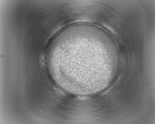 X0000072541258200608111804