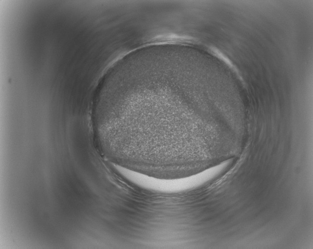 X0000072541259200608111804