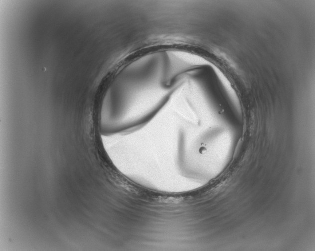 X0000072541261200608111803