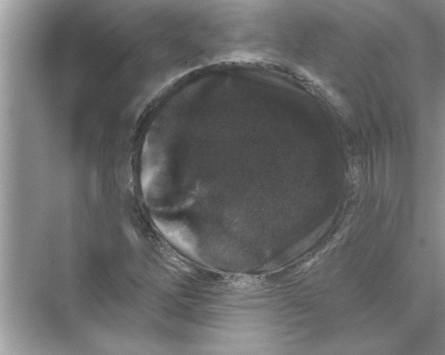 X0000072541262200608111803