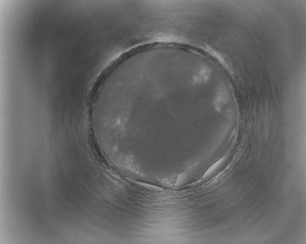 X0000072541263200608111803