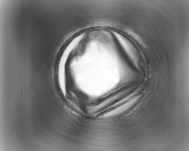 X0000072541264200608111803