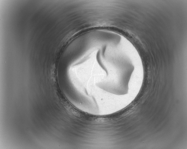 X0000072541265200608111803