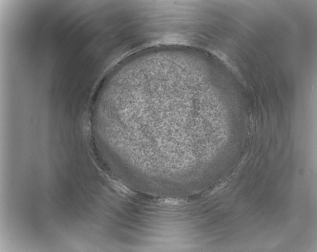 X0000072541266200608111803