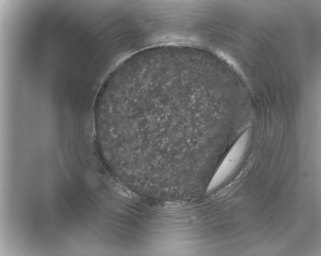 X0000072541267200608111803