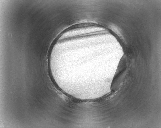 X0000072541268200608111803