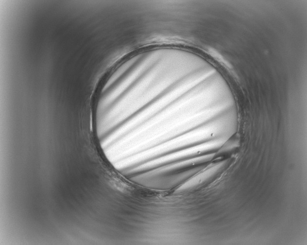 X0000072541269200608111803