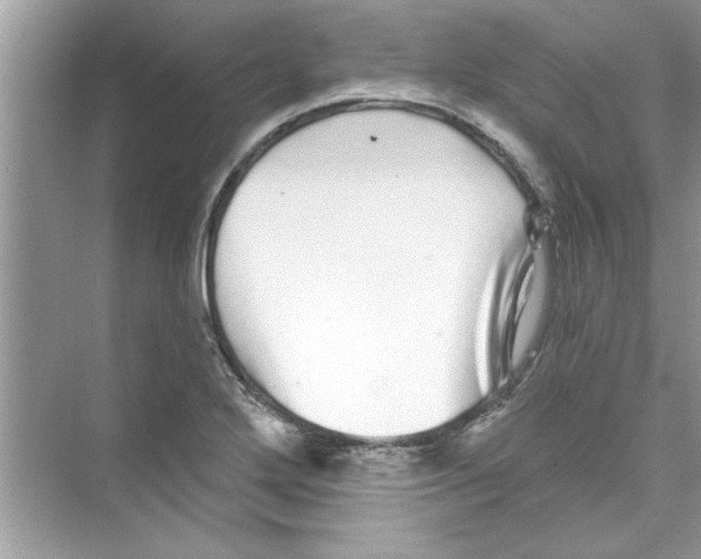 X0000072541272200608111803