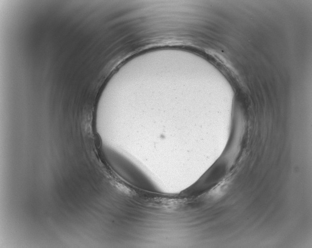 X0000072541273200608111803