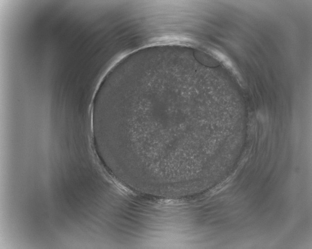 X0000072541275200608111803