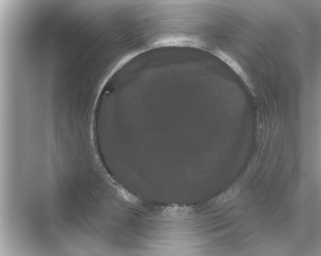 X0000072541277200608111803