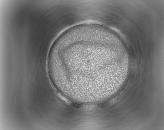 X0000072541278200608111803