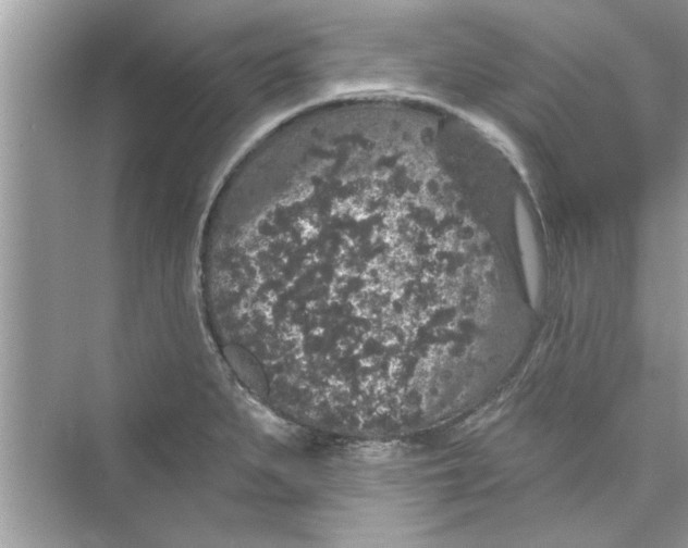 X0000072541279200608111803