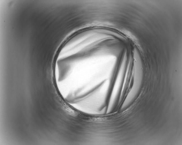 X0000072541280200608111803