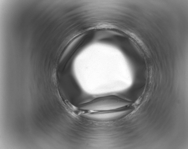 X0000072541281200608111803