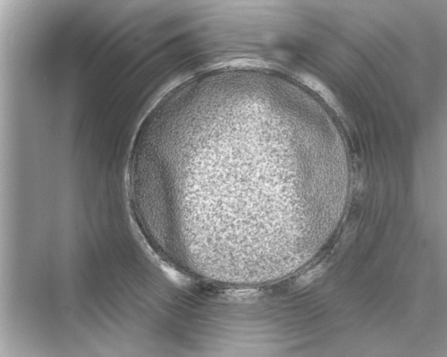 X0000072541282200608111803