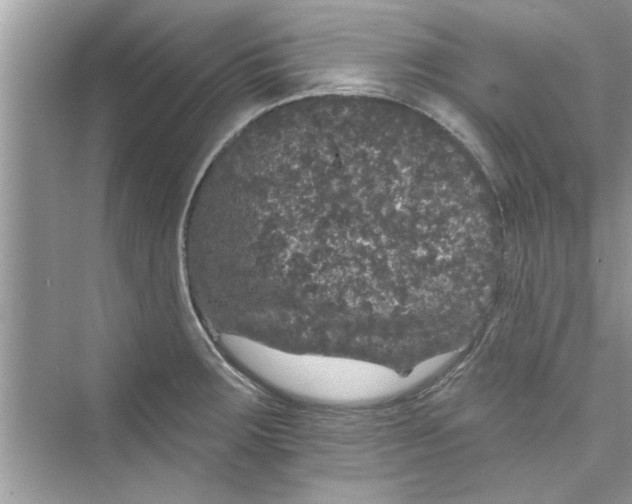 X0000072541283200608111803