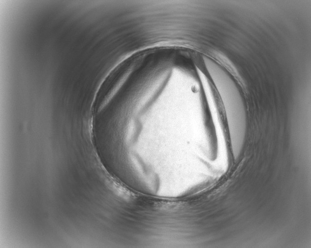 X0000072541284200608111803