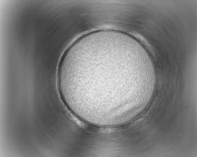 X0000072541286200608111803