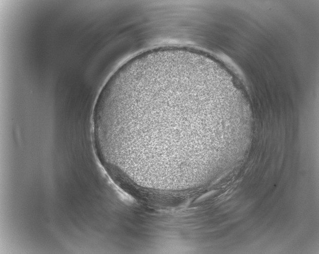 X0000072541287200608111803