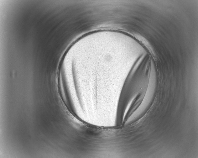 X0000072541288200608111803