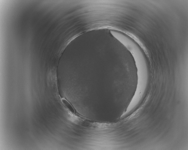 X0000072541289200608111803