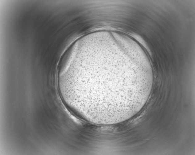 X0000072541290200608111803