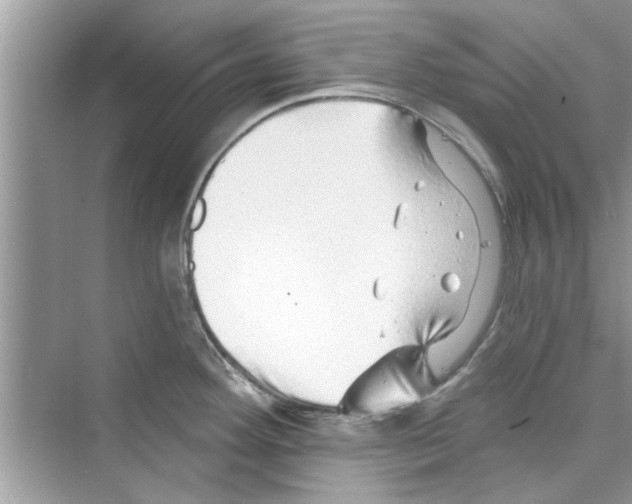 X0000072541292200608111803